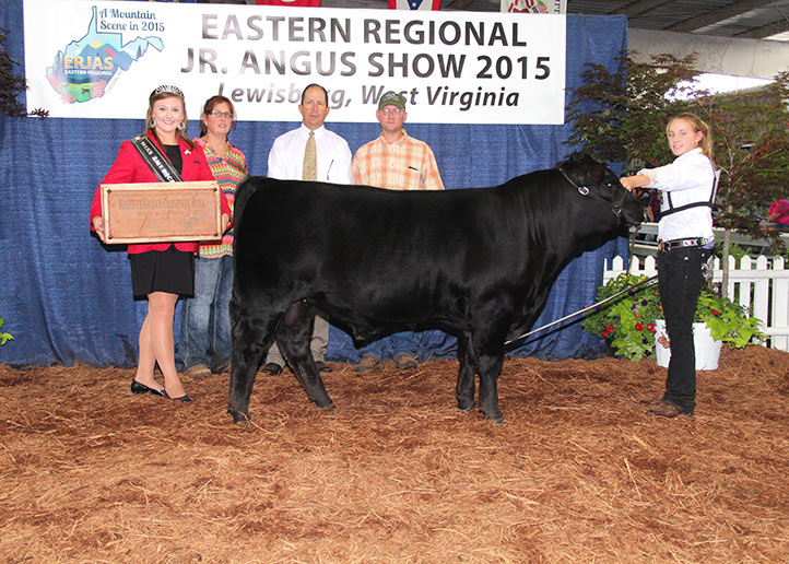 2015 Eastern Regional Reserve Grand Champion Bred and Owned Bull