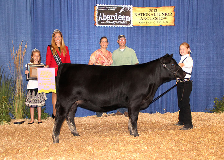 2013 NJAS Owned Division 1 Reserve Heifer Calf Champion