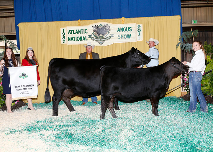 2017 Atlantic National JR Angus Show Grand Champion Cow Calf Pair