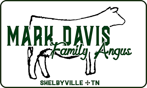 Mark Davis Family Angus